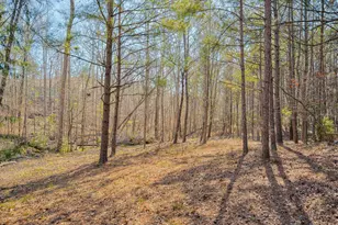 30 Tillman Ct, North Augusta, SC 29860 - Photo 52