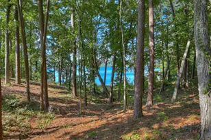 202 Deer Run Ln, Mccormick, SC 29835 - Photo 66