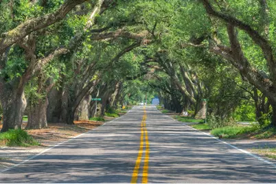 4468 Hartshorn Circle, Aiken, SC 29801 - Photo 54