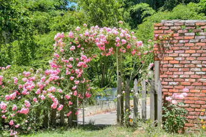 3075 Charleston Highway, Aiken, SC 29801 - Photo 48