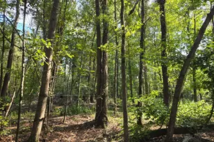 B Caprice Ln, Beech Island, SC 29842 - Photo 1