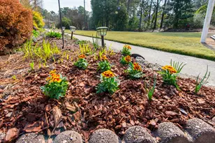 3215 Colonial Dr, Aiken, SC 29801 - Photo 30