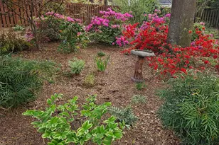 3039 Tarleton Ct, Beech Island, SC 29842 - Photo 60