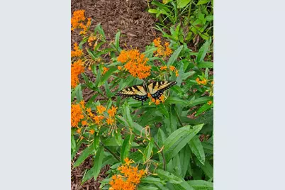 3039 Tarleton Court, Beech Island, SC 29842 - Photo 64