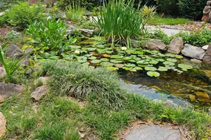 3039 Tarleton Ct, Beech Island, SC 29842 - Photo 64