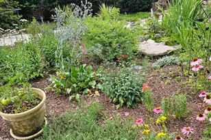 3039 Tarleton Ct, Beech Island, SC 29842 - Photo 66