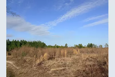 0 Festival Trail Road, Salley, SC 29137 - Photo 6