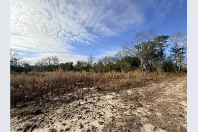 0 Festival Trail Road, Salley, SC 29137 - Photo 2