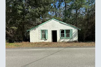 142 Danley Avenue, Wagener, SC 29164 - Photo 2