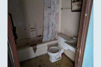 231 Holley Street, Wagener, SC 29164 - Photo 14