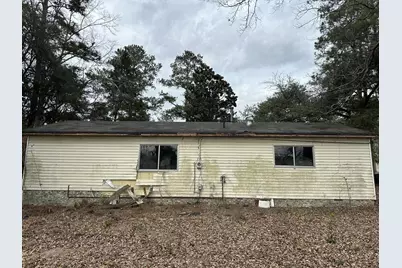 231 Holley Street, Wagener, SC 29164 - Photo 2