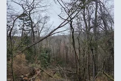 Tbd 7.5 Ac Atomic Road, Beech Island, SC 29842 - Photo 2