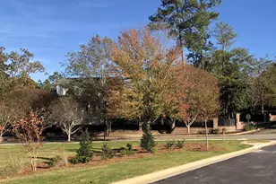 371 Pascalis Pl, Aiken, SC 29803 - Photo 32
