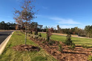 252 Devereux Dr, Aiken, SC 29803 - Photo 30