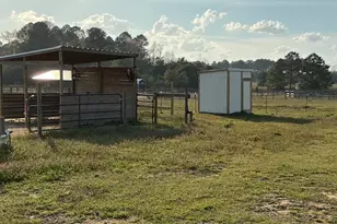 1929 New Holland Rd, Wagener, SC 29164 - Photo 4