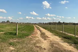 1929 New Holland Rd, Wagener, SC 29164 - Photo 10