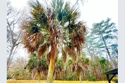 352 Saint Julian Place, North Augusta, SC 29860 - Photo 30