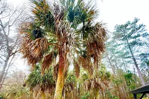 352 St Julian Pl, North Augusta, SC 29860 - Photo 30