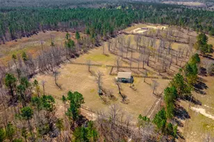 411 Bluffwood Rd, Wagener, SC 29164 - Photo 20