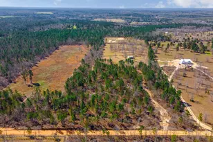 411 Bluffwood Rd, Wagener, SC 29164 - Photo 22