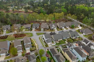 250 Thacher Loop, Elgin, SC 29045 - Photo 66