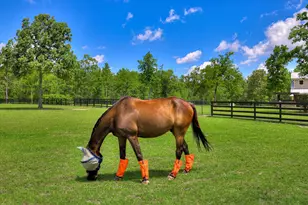 160 Honey Ridge Ln, Aiken, SC 29801 - Photo 50