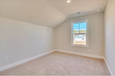 412 Minim Way, North Augusta, SC 29860 - Photo 38