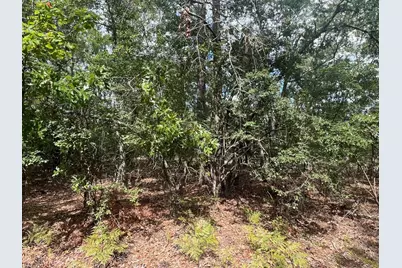 Lots 103-5 Harlem Street, Beech Island, SC 29842 - Photo 2