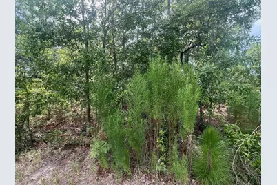 Lots 103-5 Harlem Street, Beech Island, SC 29842 - Photo 1