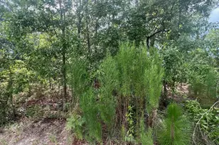 Lots 103-5 Harlem St, Beech Island, SC 29842 - Photo 1