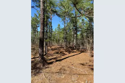 Tbd Fairview Road, Batesburg-Leesville, SC 29006 - Photo 2