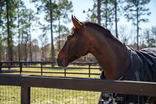 160 Dasher Cir, Aiken, SC 29803 - Photo 44