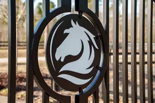 160 Dasher Cir, Aiken, SC 29803 - Photo 98