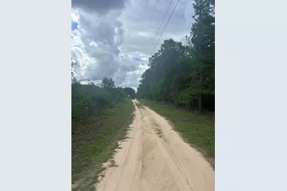 Tbd Johnston Highway, Trenton, SC 29847 - Photo 6