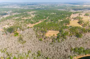 4669 Fulcher Rd, Hephzibah, GA 30815 - Photo 54