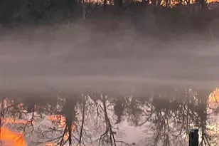 708 Gum Swamp Rd, Jackson, SC 29831 - Photo 64