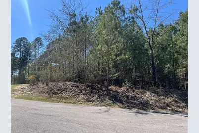 0 Bland Circle, Graniteville, SC 29829 - Photo 2