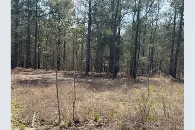 20 Hammond Drive, Trenton, SC 29847 - Photo 2