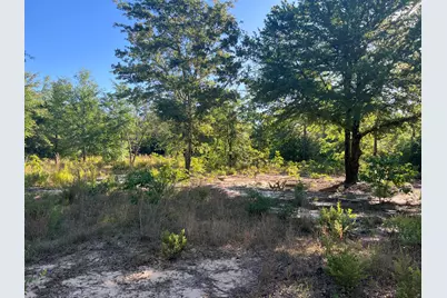 00 Pearl Bonnet Road, Windsor, SC 29856 - Photo 2