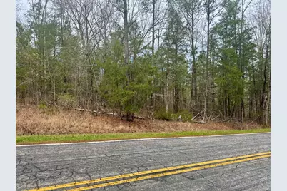 0 St. Barnabas Church Rd, Jenkinsville, SC 29065 - Photo 8