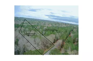 0 St Barnabas Church Rd, Jenkinsville, SC 29065 - Photo 1