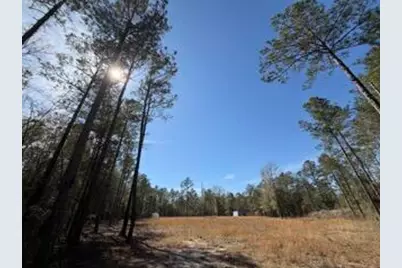 Tbd Yale Street, Salley, SC 29137 - Photo 4