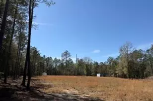 Tbd Yale St, Salley, SC 29137 - Photo 1