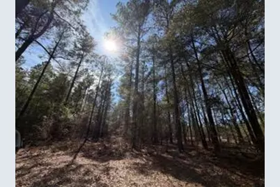 Tbd Yale Street, Salley, SC 29137 - Photo 8