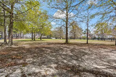 1030 Curb Chain Lane, Windsor, SC 29856 - Photo 6