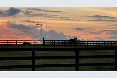 5195 Tumbleweed Drive, Aiken, SC 29805 - Photo 48