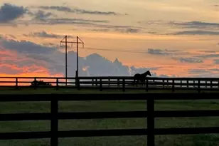 5195 Tumbleweed Dr, Aiken, SC 29805 - Photo 48