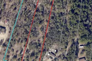 Tbd Pearl Bonnett Rd, Windsor, SC 29856 - Photo 1