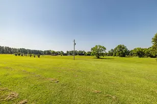 165 Lanier Rd, Johnston, SC 29832 - Photo 72