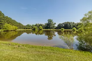 165 Lanier Rd, Johnston, SC 29832 - Photo 66